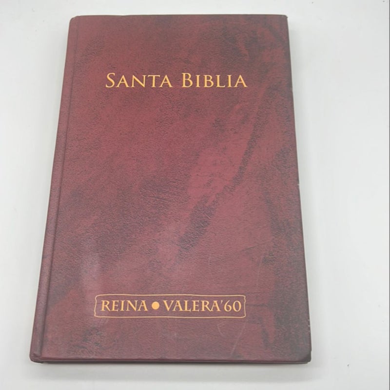 Santa Biblia RVR Biblia RVR 1960 Letra Grande