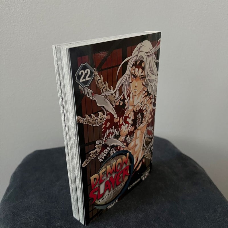 Demon Slayer: Kimetsu No Yaiba, Vol. 22