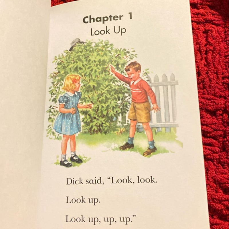 Dick and Jane: Fun with Dick and Jane