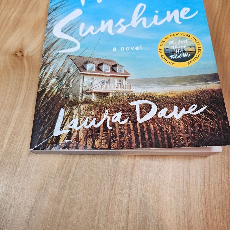 Laura Dave Books