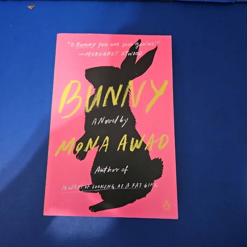 Bunny