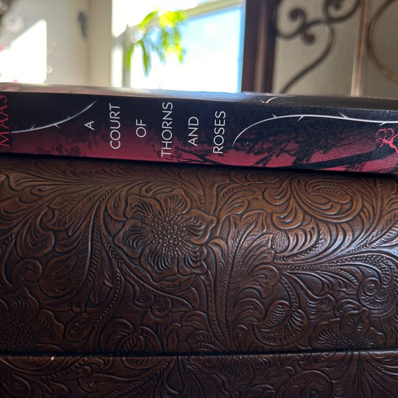 RARE First edition FIRST PRINT A Court of Thorns and Roses 