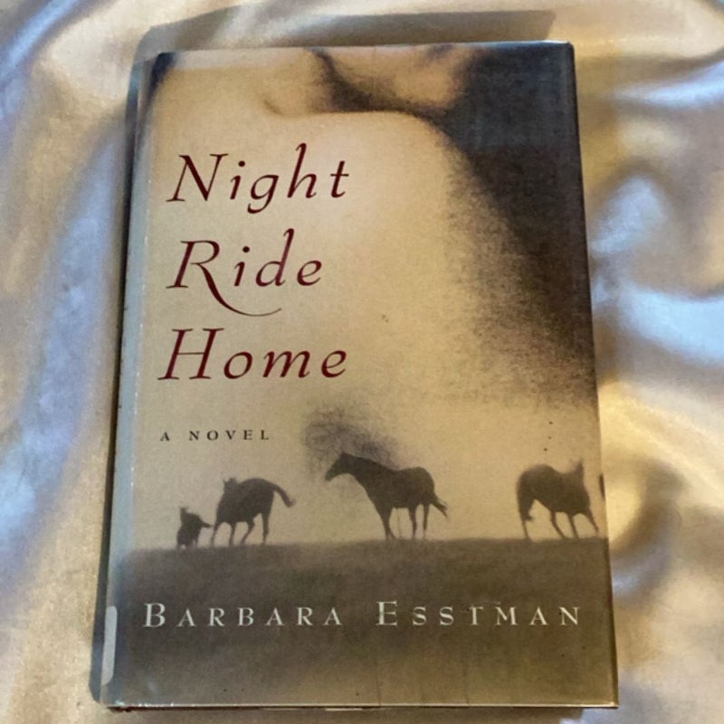 Night Ride Home