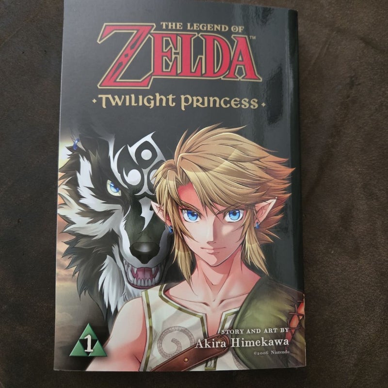 The Legend of Zelda: Twilight Princess, Vol. 1