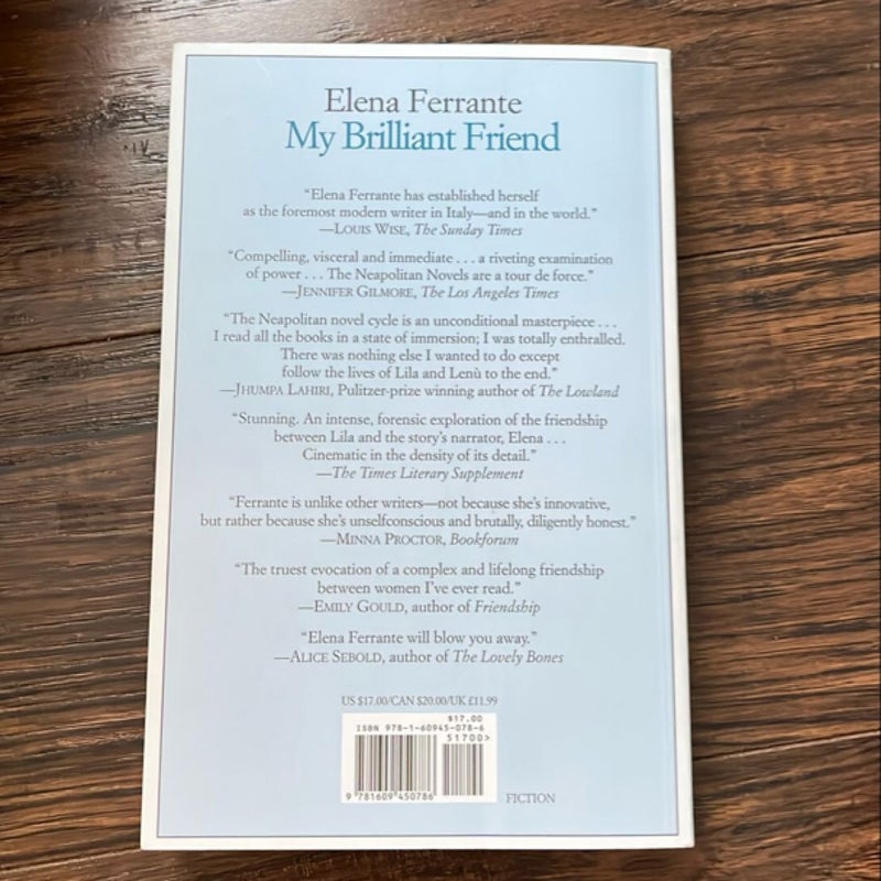 My Brilliant Friend