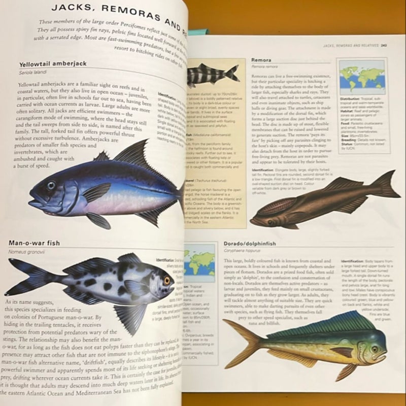 The World Encyclopedia of Fish & Shellfish and Other Aquatic Creatures