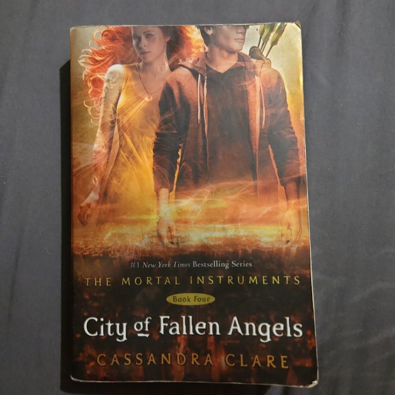 City of Fallen Angels