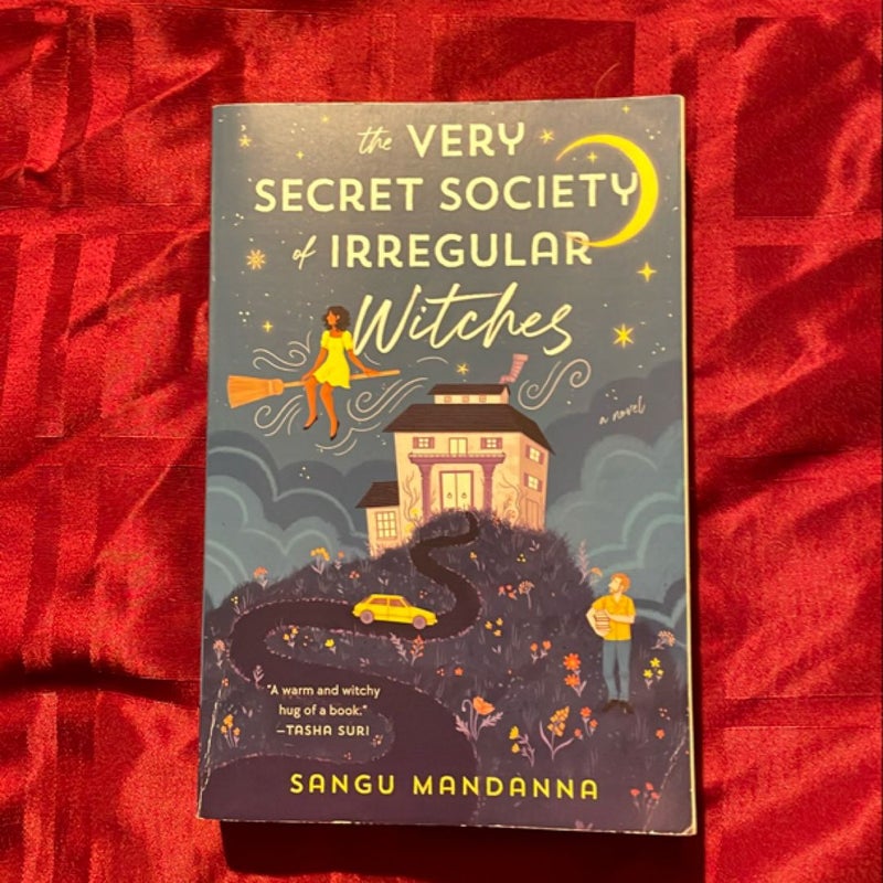 The Very Secret Society of Irregular Witches