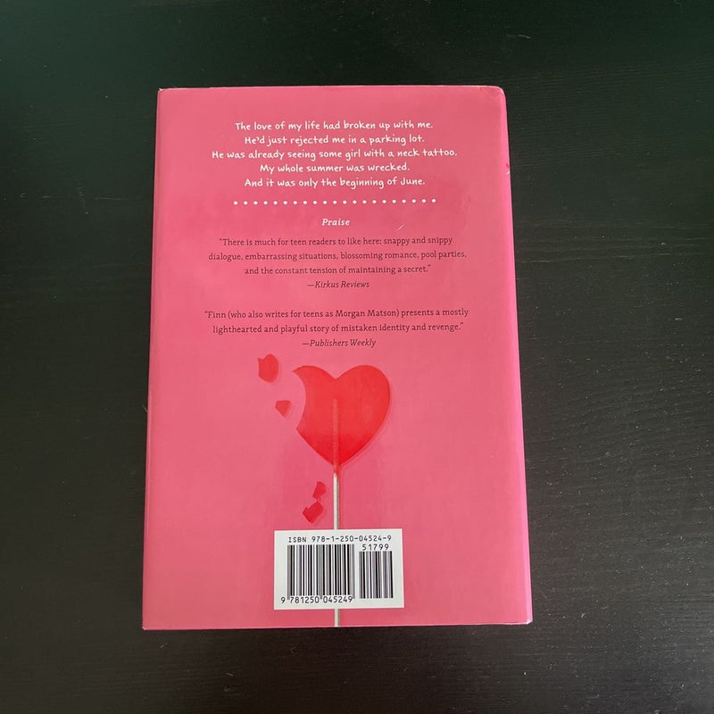 Broken Hearts, Fences and Other Things to Mend
