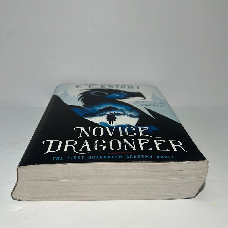 Dragoneer Academy Series Book #1: Novice Dragoneer