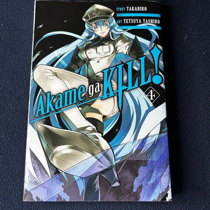 Akame Ga KILL!, Vol. 4