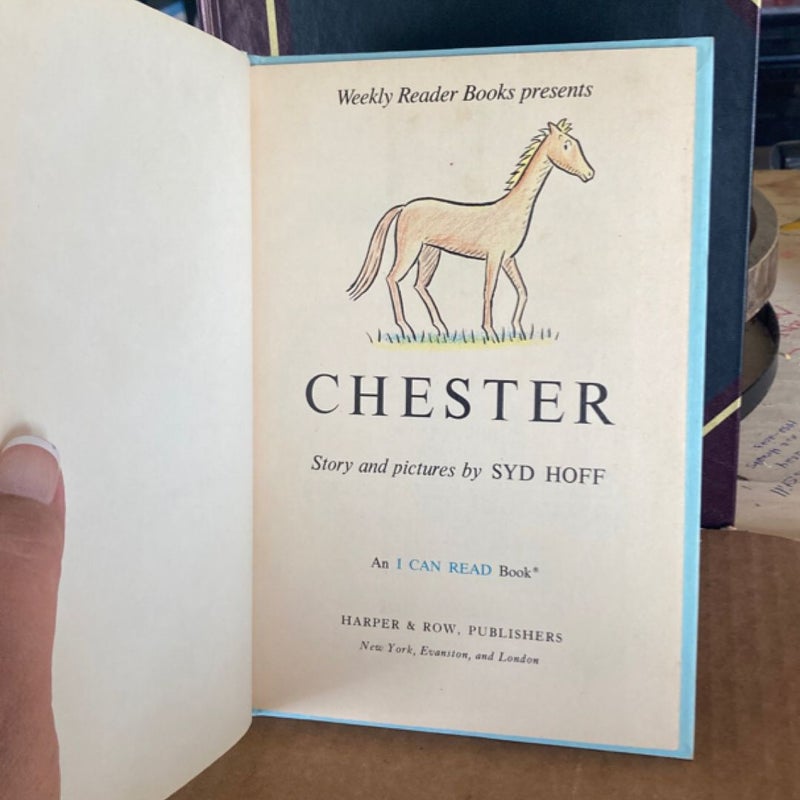 Chester (VINTAGE )