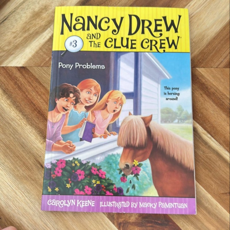 Nancy Drew and The Clue Crew #3