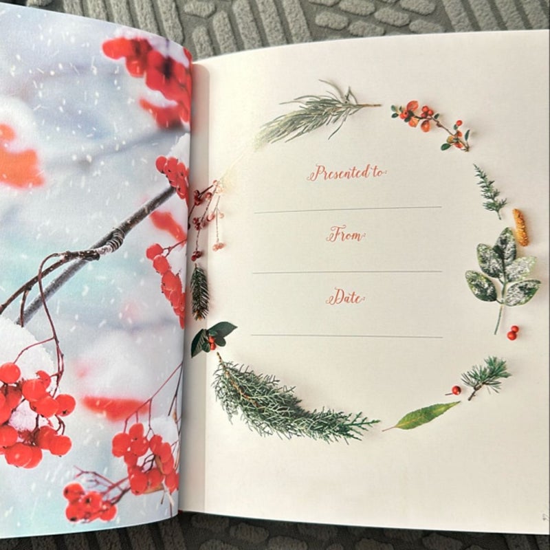 Jesus Calling for Christmas