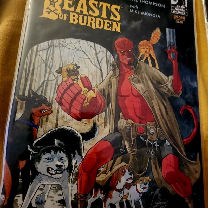 HELLBOY COMIC BOOK LOT 12 VOLUMES 