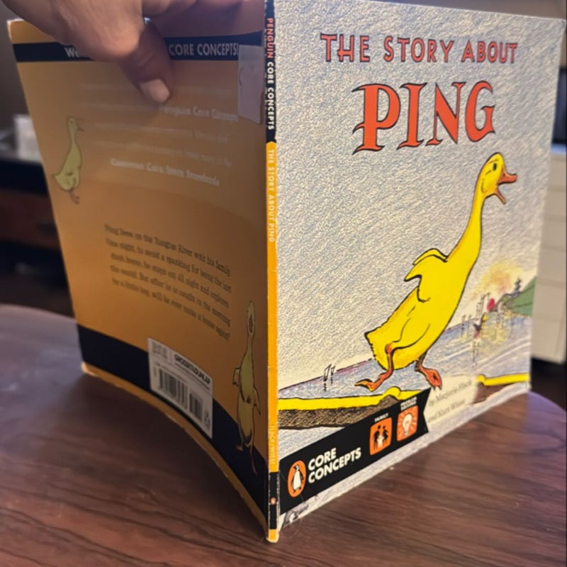 The Story about Ping