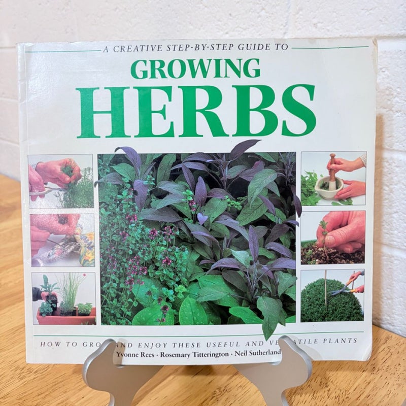 A Creative Step by Step Guide to Growing Herbs