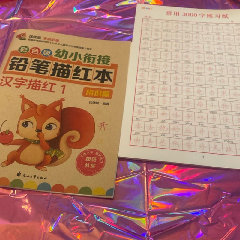 Chinese Workbook+Study Sheets 