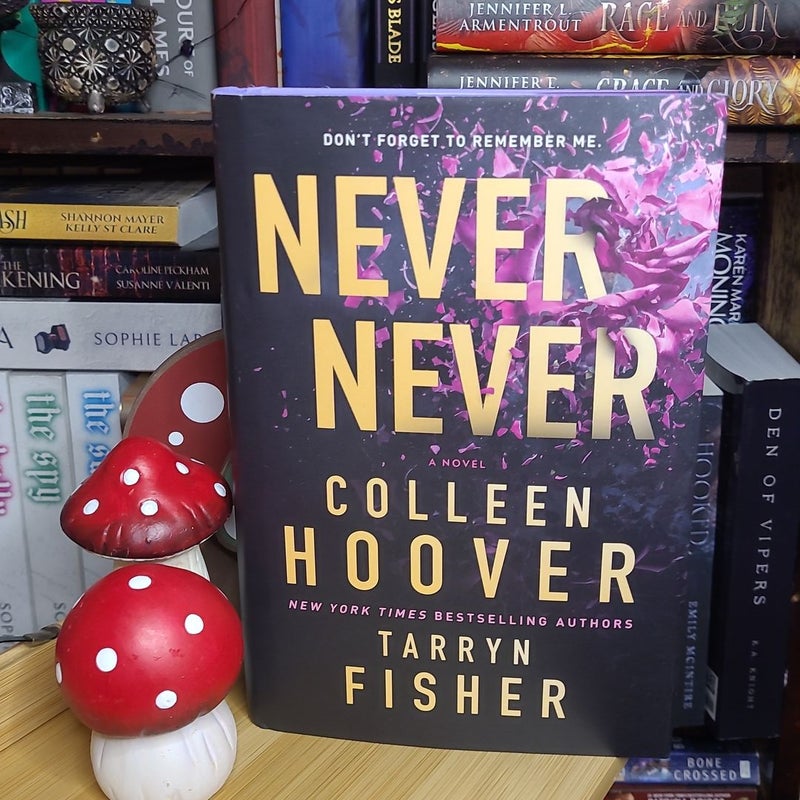 Nunca Nunca 1 - Colleen Hoover & Tarryn Fisher - Nuevo