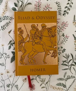 Iliad & Odyssey 