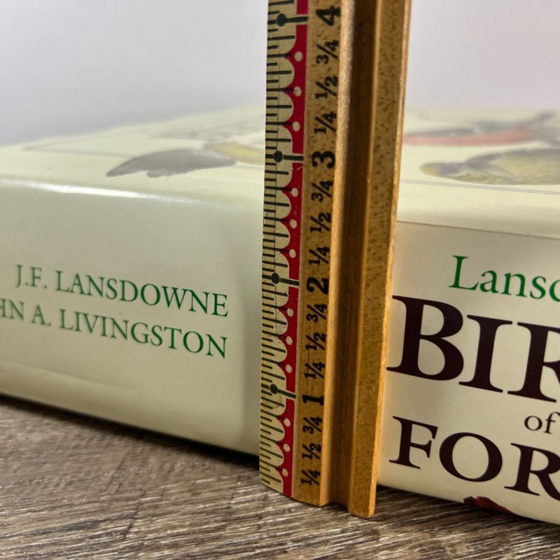 Lansdowne’s Birds of the Forest