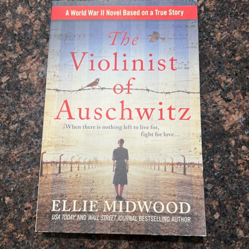 The Violinist of Auschwitz
