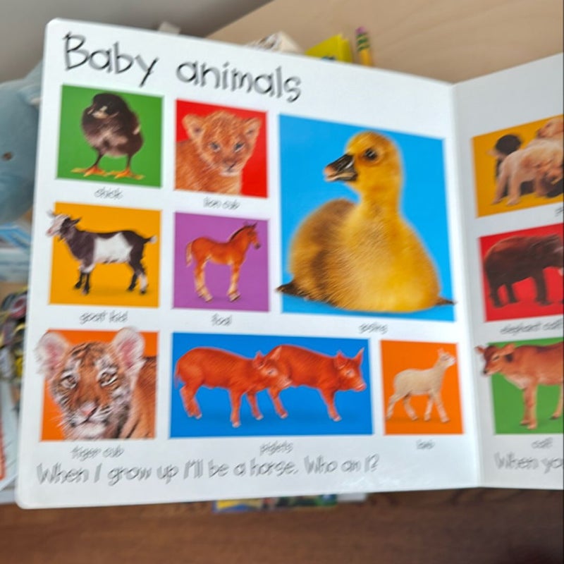 My Big Animal Book