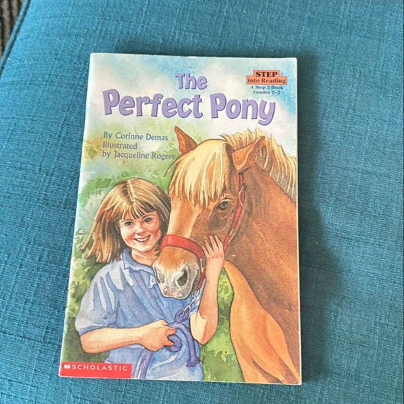 The Perfect Pony