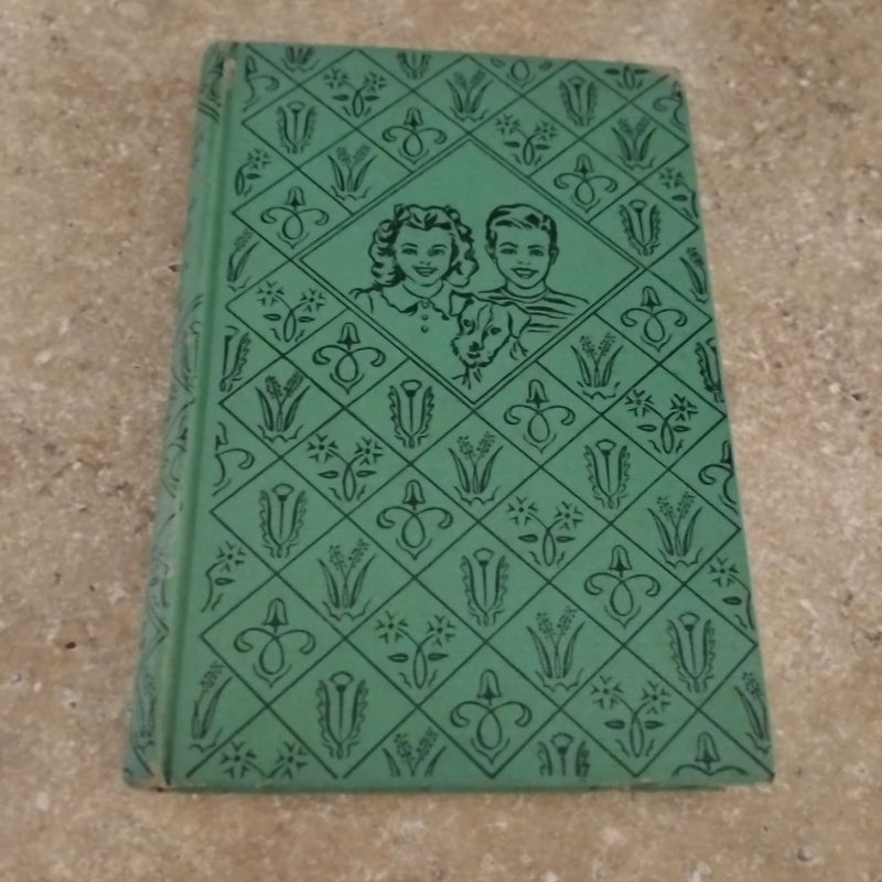 The Bobbsey Twins in Eskimo Land 