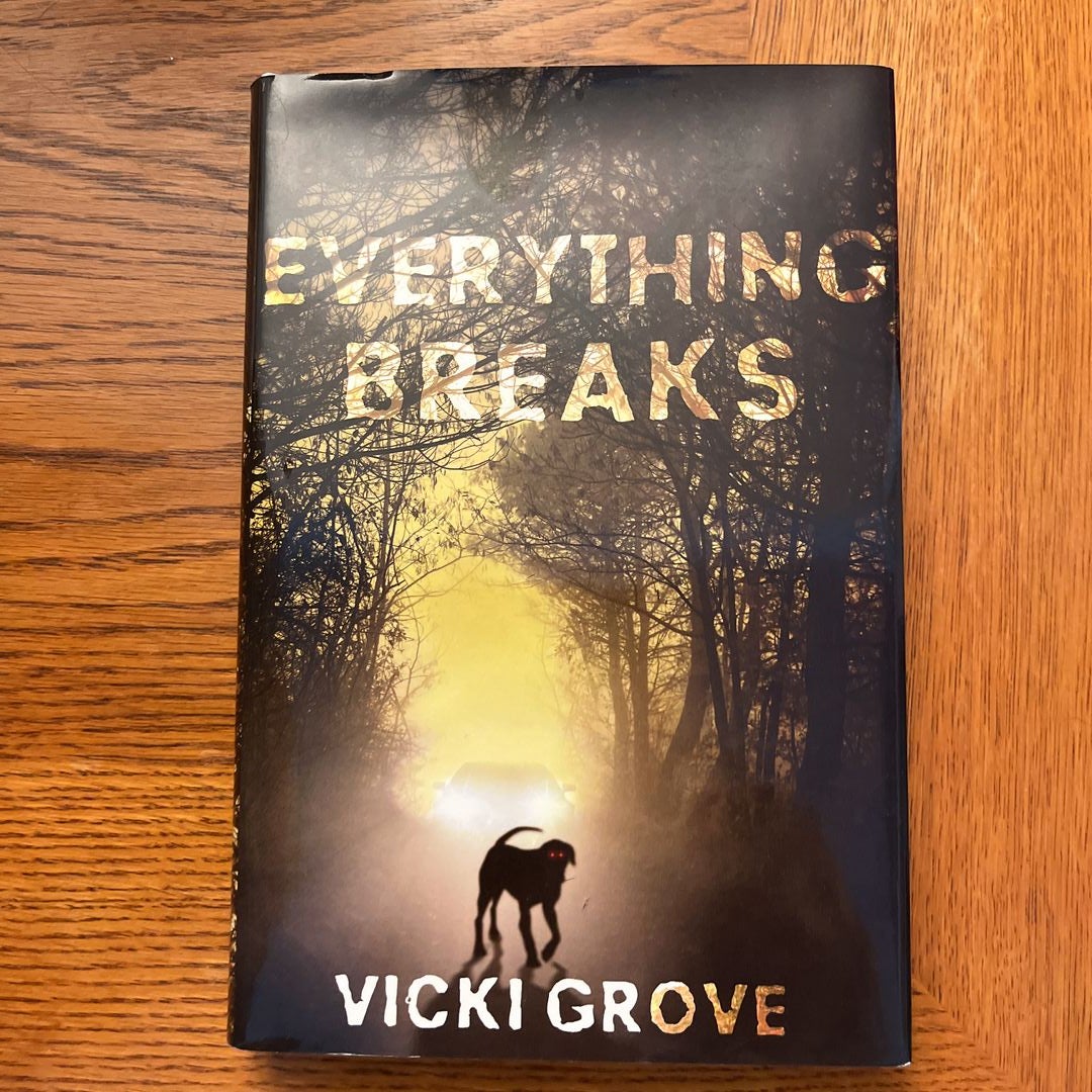 everything breaks by Vicki grove, Hardcover Pangobooks