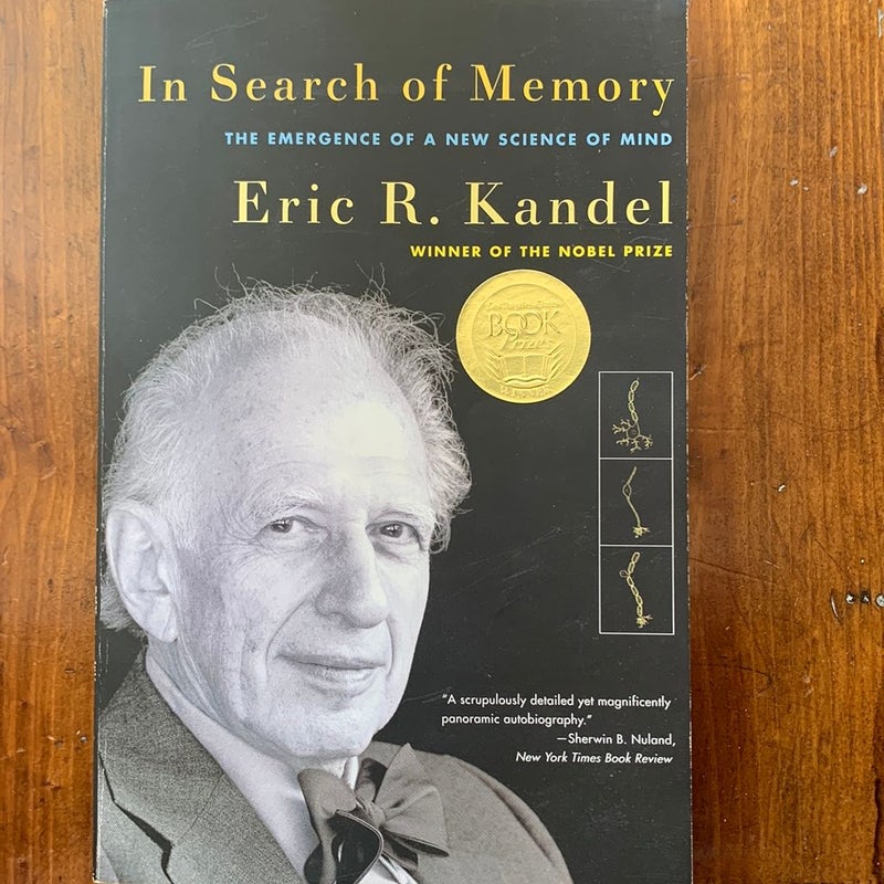 In Search of Memory