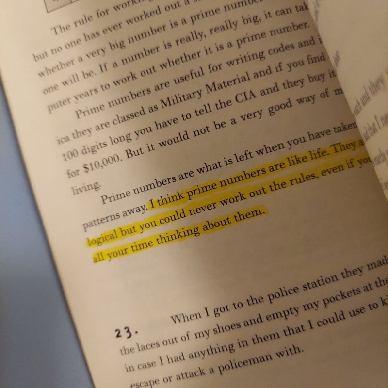 The Curious Incident of the Dog in the Night-Time