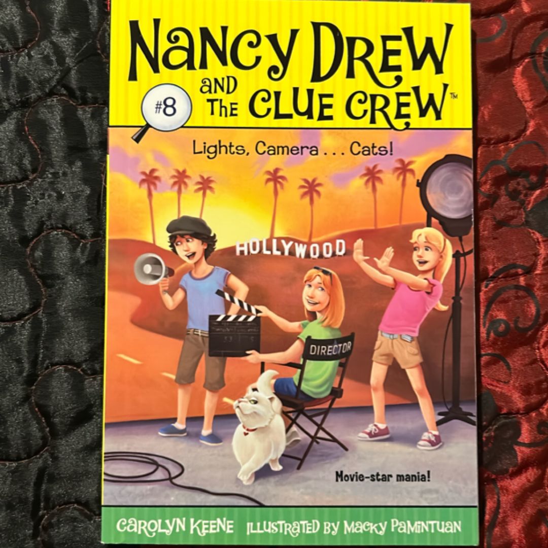 Lights, Camera...cats!