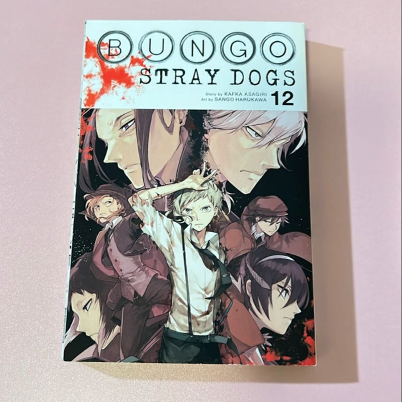 Bungo Stray Dogs, Vol. 12