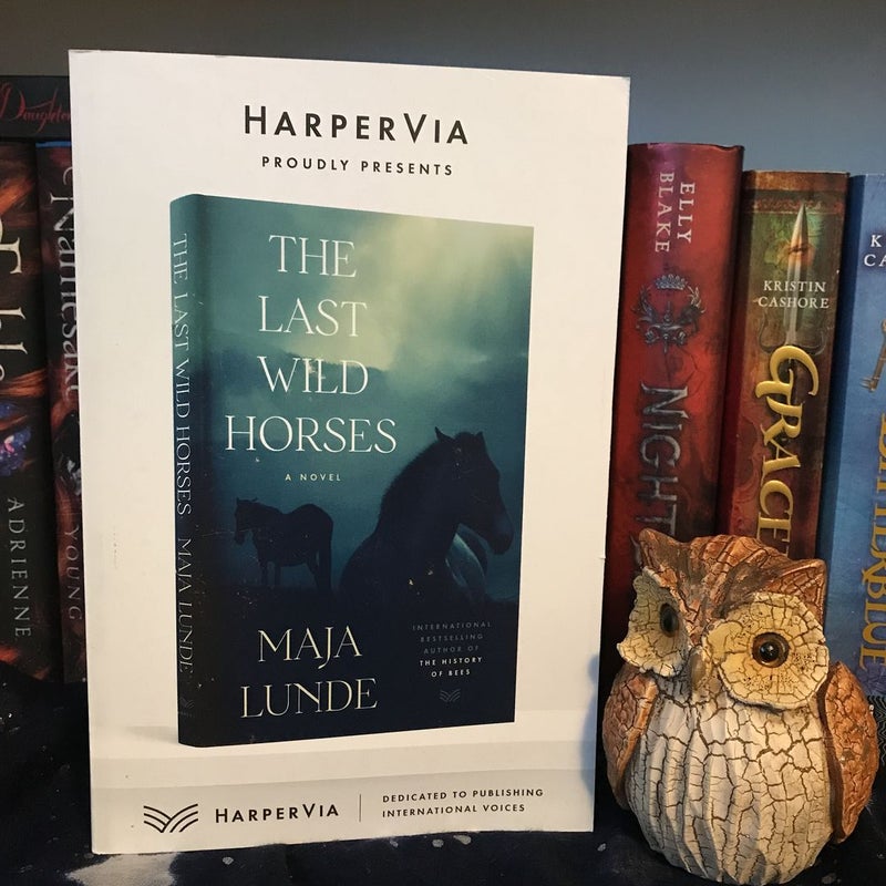 The Last Wild Horses *Advanced Reader’s Copy*