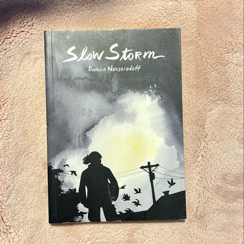 Slow Storm