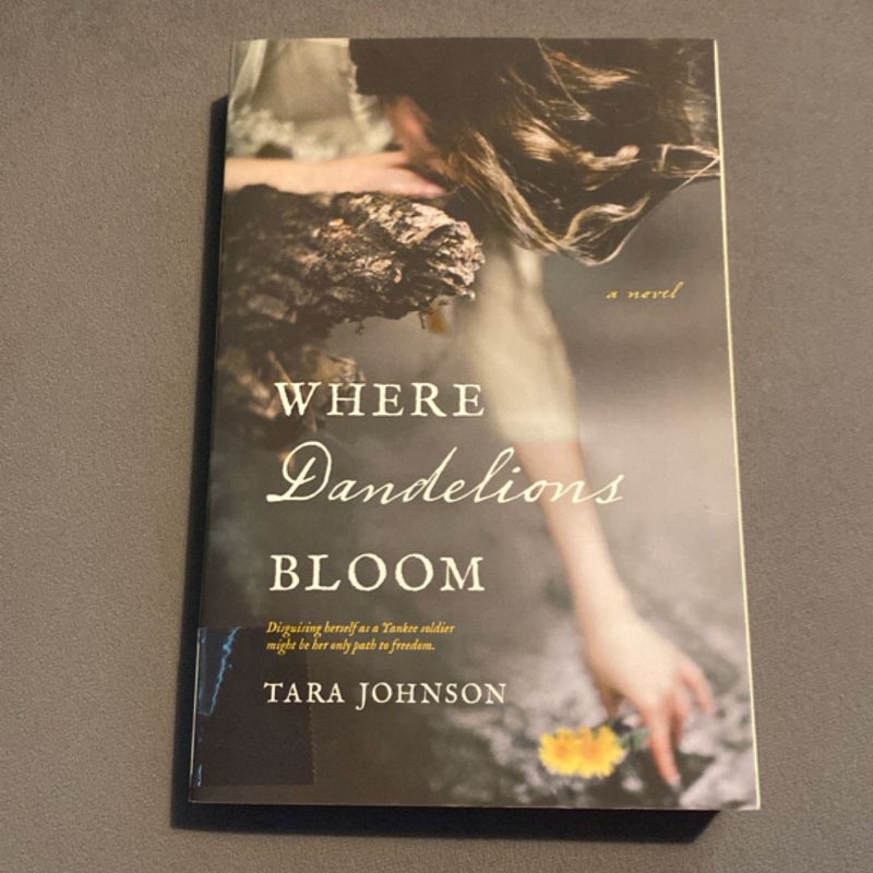 Where Dandelions Bloom