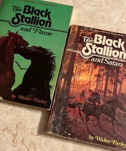 The Black Stallion bundle of 2 books 
