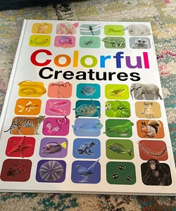 Colorful Creatures
