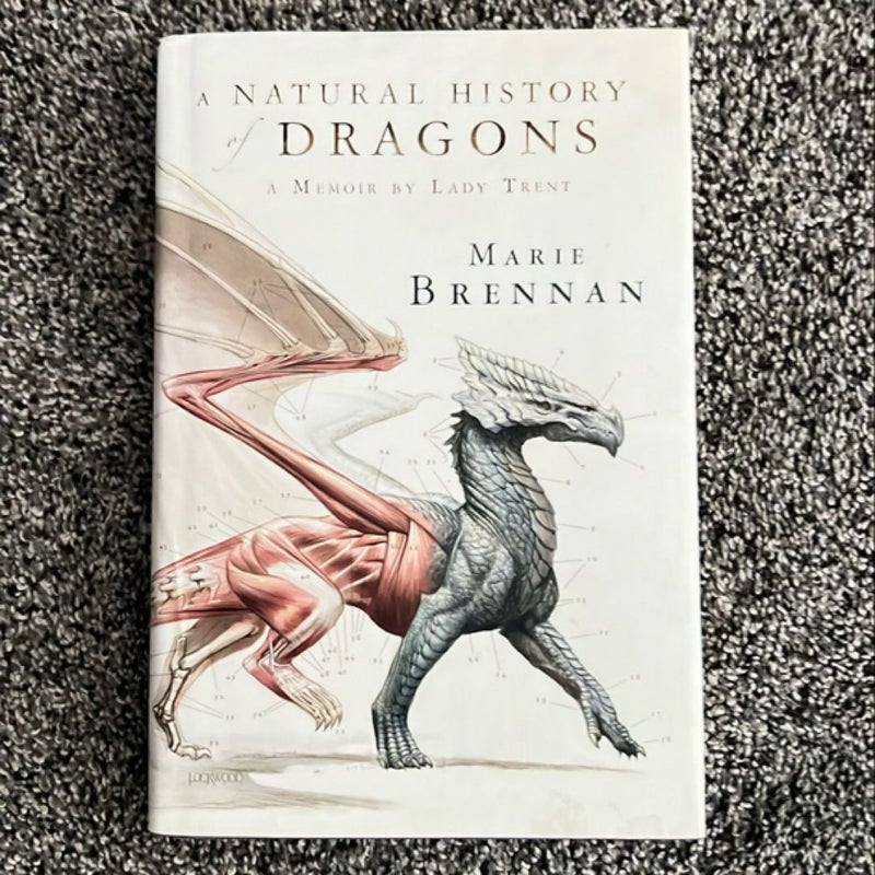 A Natural History of Dragons