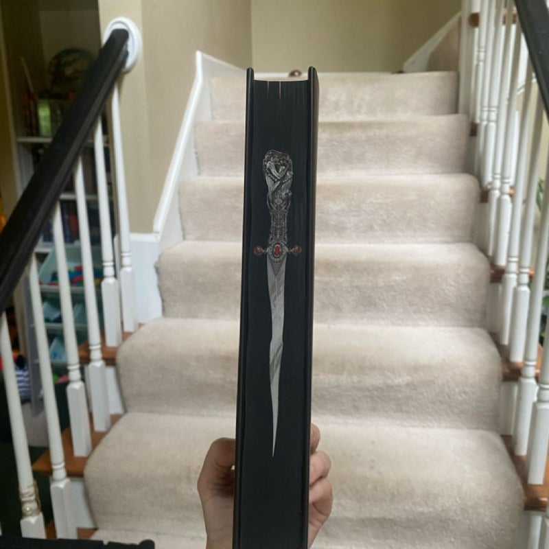 Where Shadows Meet (Fairyloot)