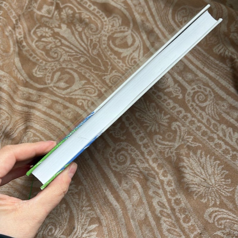 Big Life Journal