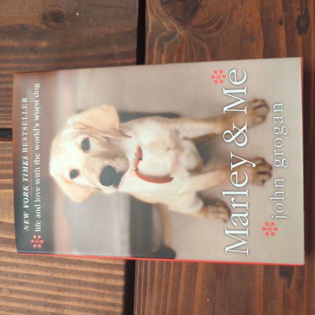 Sale image for ce46b781-00a1-4418-bc3c-482b761e7738-jZKU2o2ovSOKenQD0ueoASlWy8F2