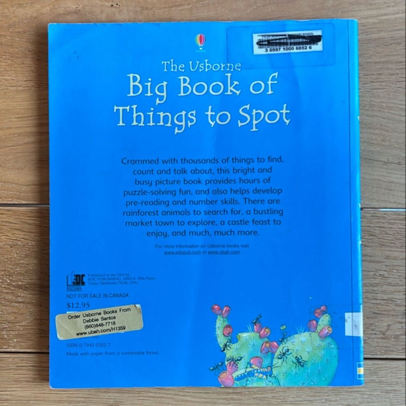 The Usborne Big Book of Things to Spot