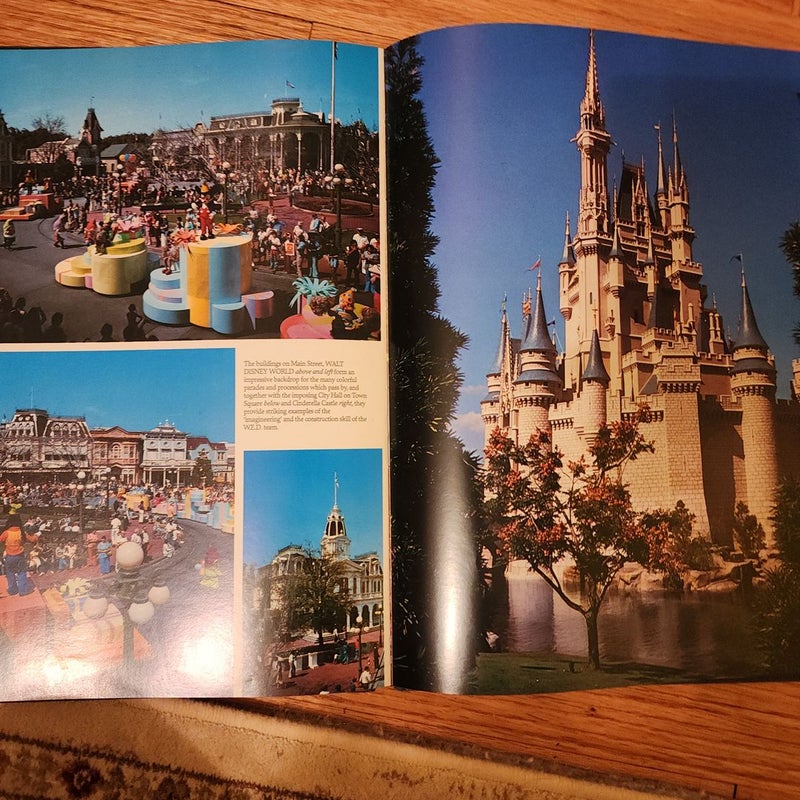 The Magic of Disneyland and Walt Disney World