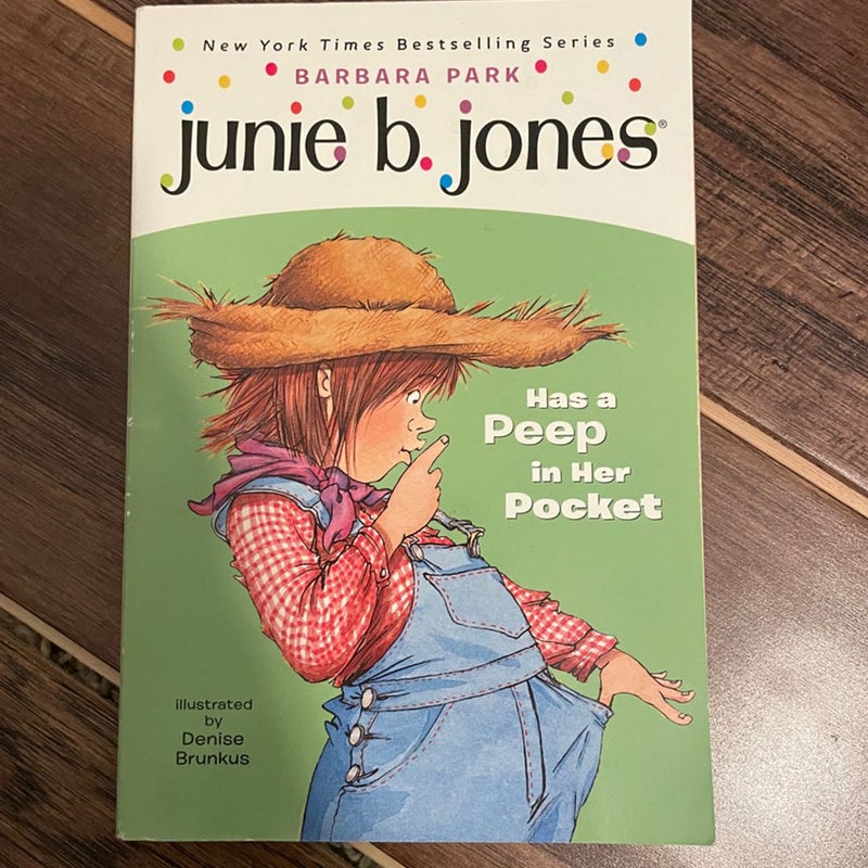 Junie B Jones Book Lot 