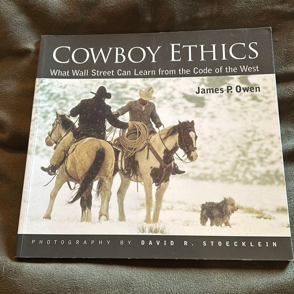 Cowboy Ethics by David R. Stoecklein, James P. Owen