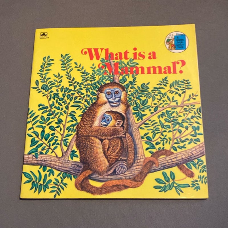 What Is a Mammal?