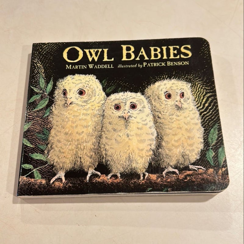 Owl Babies