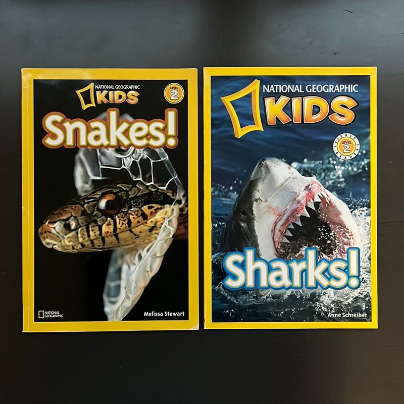 Snakes & Sharks!